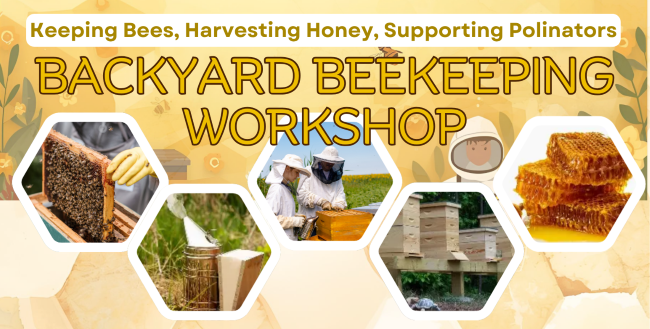 Keeping Bees, Harvesting Honey, Supporting Polinators
Backyard Beekeeping Workshop
on a honeycomb background
image of hands pulling a frame out of a beehive
image of a beehive smoker
Image of beekeepers next to a beehive
Image of 4 beehives
image of honeycombs